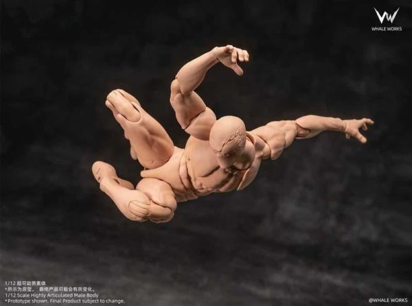 【史派克工廠】預購免運26年Q3 鯨工坊 1/12 燼Ash 超可動 男素體 可動人偶 5版 0306 鯨工坊 1/12 燼Ash 超可動 男素體 可動人偶 5版