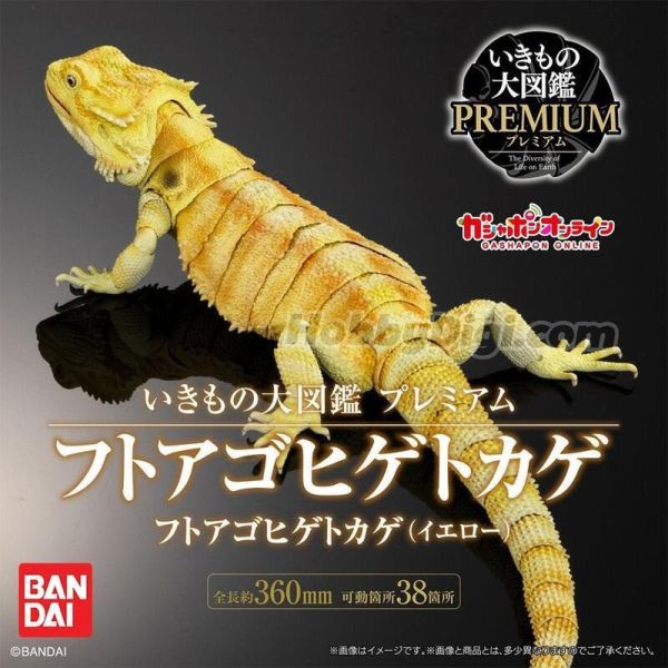 【史派克工廠】結單25年7月 BANDAI 扭蛋袋裝 生物大圖鑑 鬃獅蜥 (黃) 0421 BANDAI 扭蛋袋裝 生物大圖鑑 鬃獅蜥 (黃)