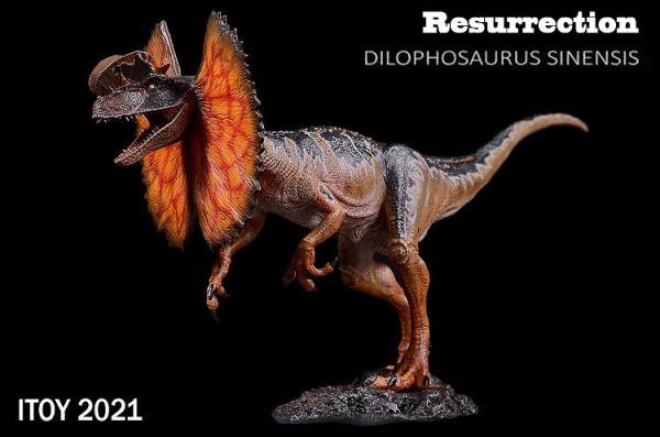 【史派克工廠】結單預購免運24年8月 ITOY 雙脊龍 雙棘龍 雙冠龍 張開褶傘造型 0730 ITOY 雙脊龍 雙棘龍 雙冠龍 張開褶傘造型