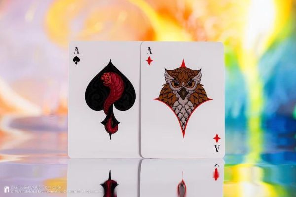 【史派克工廠】預購免運26年7月 Room One Cards Dyenamik 柏德之門 3 撲克牌 3版 0601 Room One Cards Dyenamik 柏德之門 3 撲克牌 3版