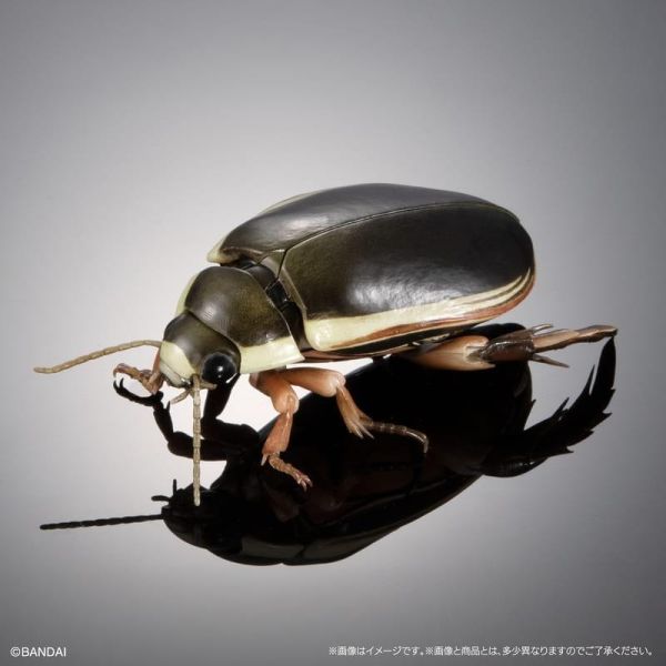 【史派克工廠】預購免運7月 萬代 代理版 生物大圖鑑 水生昆蟲02 日本大龍蝨 附展示支架組 扭蛋袋裝 一套4入 0511 萬代 代理版 生物大圖鑑 水生昆蟲02 日本大龍蝨 附展示支架組 扭蛋袋裝 一套4入