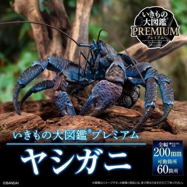 【史派克工廠】結單 預購免運23年10月 代理版 盒玩 魂商店 生物大圖鑑Premium 椰子蟹 0711 盒玩 魂商店 生物大圖鑑Premium 椰子蟹