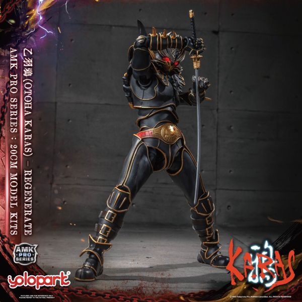 【史派克工廠】預購免運25年11月 代理版 YOLOPARK AMK PRO 鴉 KARAS 乙羽鴉 新生版 1121 代理版 YOLOPARK AMK PRO 鴉 KARAS 乙羽鴉 新生版