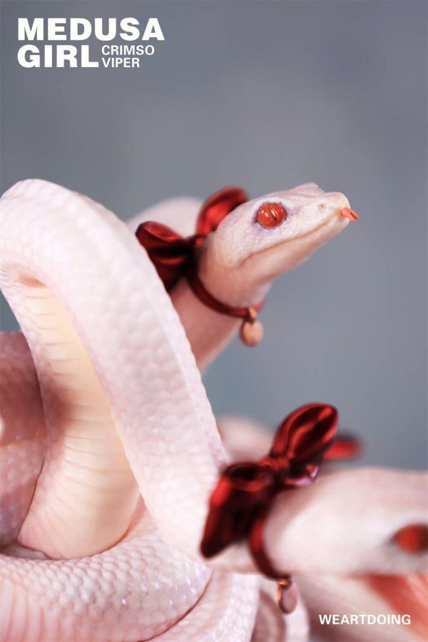 【史派克工廠】預購免運26年Q3 WeArtDoing Xray 美杜莎少女 綠蝰 紅蝰 兩款 0402 WeArtDoing Xray 美杜莎少女 綠蝰 红蝰 兩款