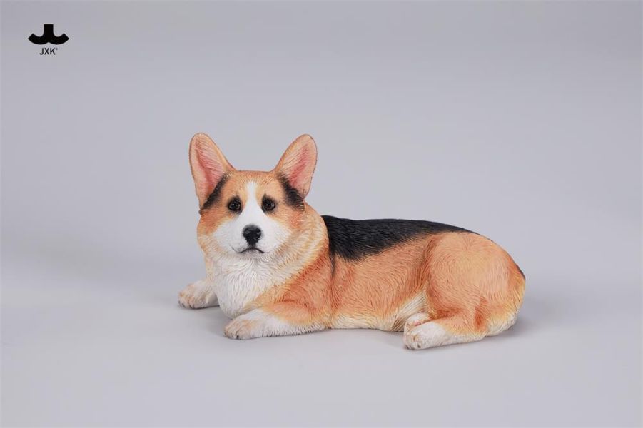 【史派克工廠】結單26年Q2 JXK JXK315 慵懶柯基 Lazy Corgi 動物模型 三色 0209 JXK JXK315 慵懶柯基 Lazy Corgi 動物模型 三色