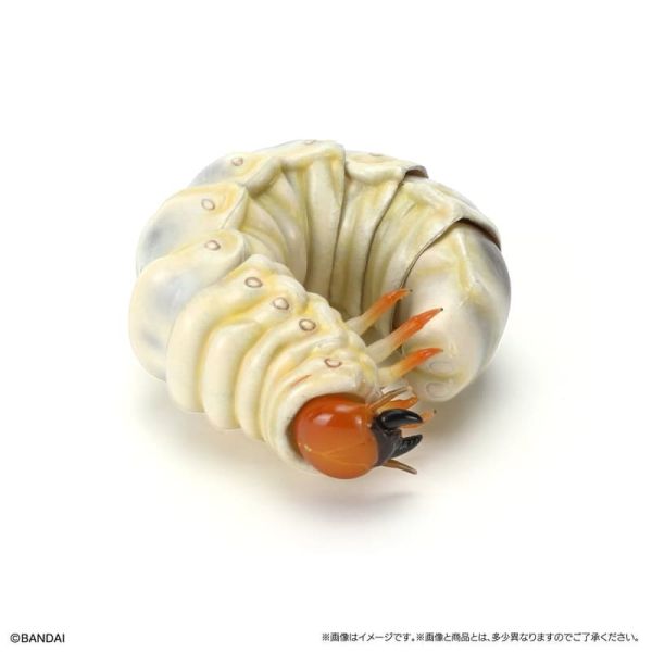【史派克工廠】預購免運26年1月 萬代 扭蛋 生物大圖鑑生物大圖鑑 鍬形蟲11 附樹皮底座 一套5入 5款 1031 萬代 扭蛋 生物大圖鑑生物大圖鑑 鍬形蟲11 附樹皮底座 一套5入 5款