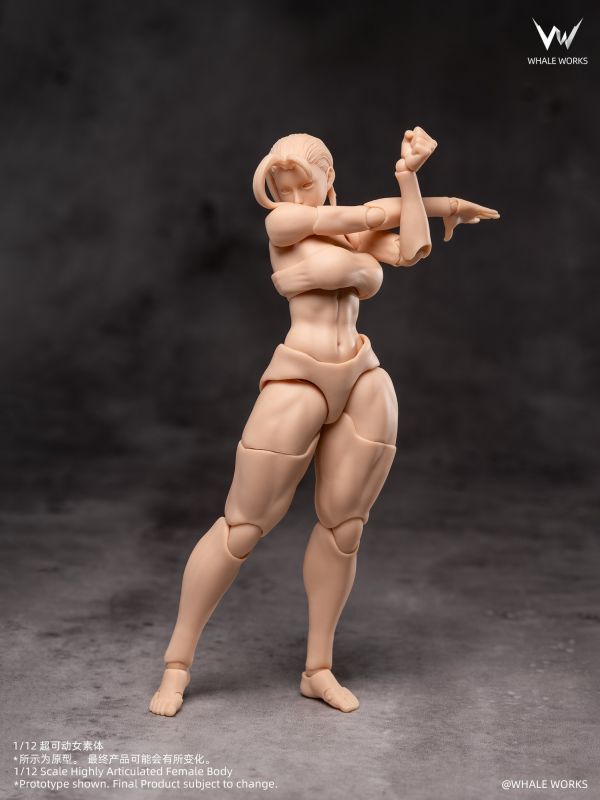 【史派克工廠】預購免運26年Q1 鯨工坊 6寸女素體 凜 凰 6款 1119 鯨工坊 6寸女素體 凜 凰 6款