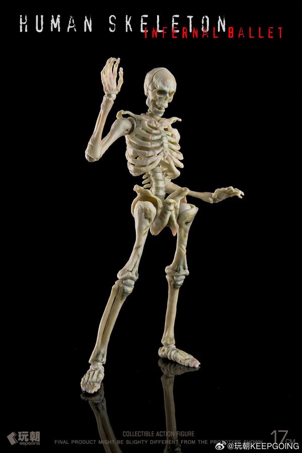 【史派克工廠】預購免運26年2月 玩朝 生物課堂 1/12 人體骨骼 骷髏素體 成品 關節可動模型 0128 玩朝 生物課堂 1/12 人體骨骼 骷髏素體 成品 關節可動模型