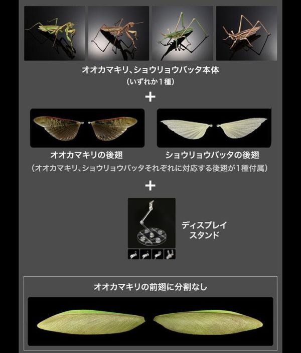 【史派克工廠】結單25年4月 轉蛋 扭蛋 生物大圖鑑 枯葉大刀螳/中華劍角蝗 四種套組 附展示支架 0115 轉蛋 扭蛋 生物大圖鑑 枯葉大刀螳/中華劍角蝗 四種套組 附展示支架