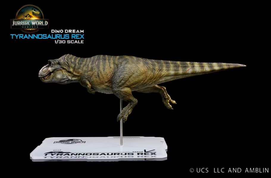 【史派克工廠】預購免運26年Q3 dinodream jw4 重生暴龍遊泳姿態 1/30 全身雕像 0717 dinodream jw4 重生暴龍遊泳姿態 1/30 全身雕像