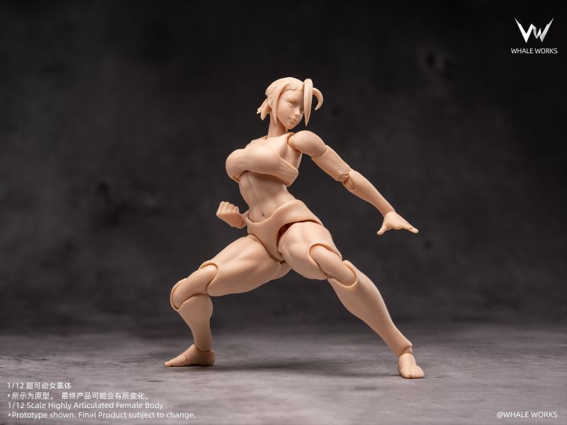 【史派克工廠】預購免運26年Q1 鯨工坊 6寸女素體 凜 凰 6款 1119 鯨工坊 6寸女素體 凜 凰 6款