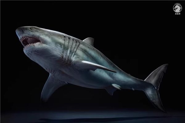 【史派克工廠】結單預購24年Q3 萬蘢堂 1/35 巨齒鯊 鬼顎 大白鯊 雕像模型 0801 萬蘢堂 1/35 巨齒鯊 鬼顎 大白鯊 雕像模型