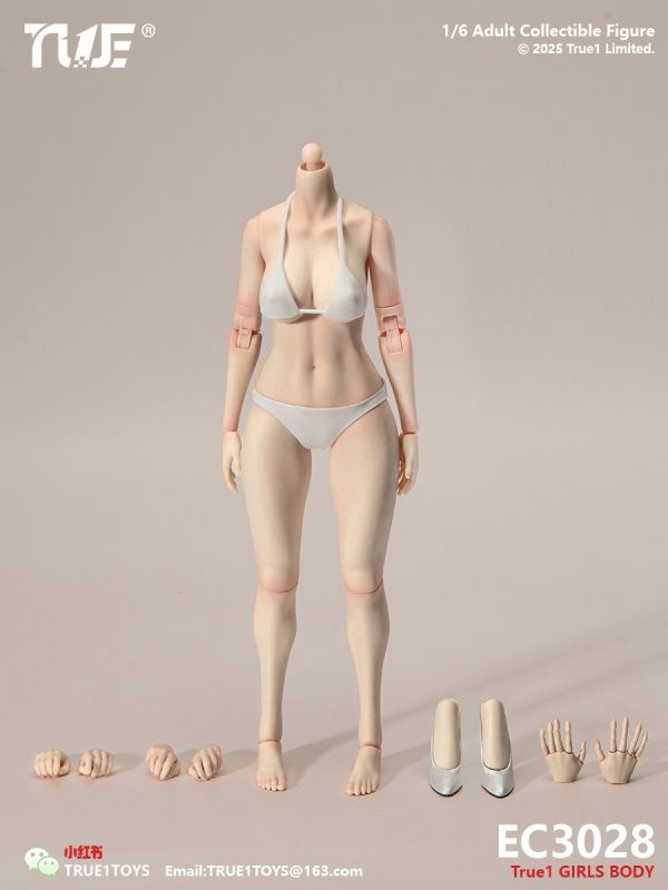 【史派克工廠】結單免運25年Q3 True1Toys 1/6 窄肩全可動手關節 女素體 中胸大胸 白肌色淺麥色 0507 True1Toys 1/6 窄肩全可動手關節 女素體 中胸大胸 白肌色淺麥色