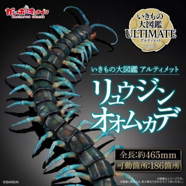 【史派克工廠】預購免運26年2月 萬代 GASHAPON 扭蛋 生物大圖鑑 Ultimate 琉神蜈蚣 青龍 1202 萬代 GASHAPON 扭蛋 生物大圖鑑 Ultimate 琉神蜈蚣 青龍