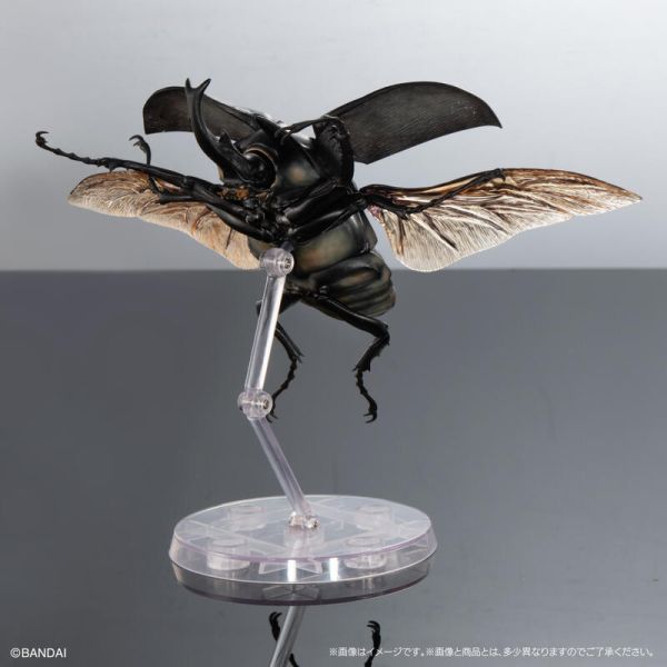 【史派克工廠】結單 預購24年8月 gashapon 轉蛋 扭蛋 生物大圖鑑 象兜蟲和赫克力士長戟大兜蟲 四種套組 0624 gashapon 轉蛋 扭蛋 生物大圖鑑 象兜蟲和赫克力士長戟大兜蟲 四種套組