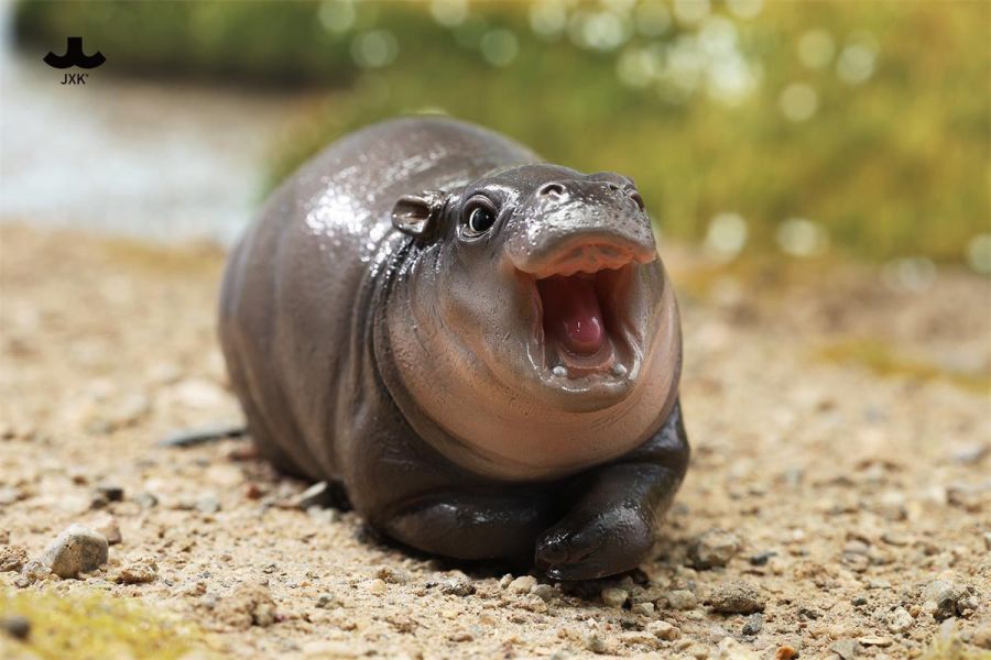 【史派克工廠】結單25年Q1 JXK 1/6 河馬寶寶2.0 侏儒河馬 彈跳豬 動物公仔 JXK264 0117 JXK 1/6 河馬寶寶2.0 侏儒河馬 彈跳豬 動物公仔 JXK264