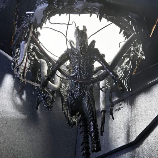 【史派克工廠】結單25年6月 NECA 7吋 異形 羅穆路斯 Xenomorph XX121 實驗室懸吊版 0509 NECA 7吋 異形 羅穆路斯 Xenomorph XX121 實驗室懸吊版