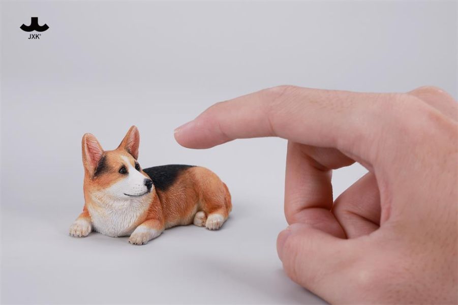 【史派克工廠】結單26年Q2 JXK JXK315 慵懶柯基 Lazy Corgi 動物模型 三色 0209 JXK JXK315 慵懶柯基 Lazy Corgi 動物模型 三色