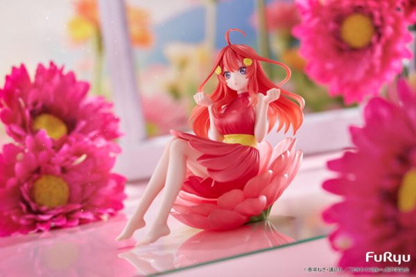 【史派克工廠】結單25年6月 Furyu 景品 五等分的新娘 特別篇 Bloom-me! 中野五月 0219 Furyu 景品 五等分的新娘 特別篇 Bloom-me! 中野五月