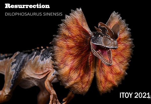 【史派克工廠】結單預購免運24年8月 ITOY 雙脊龍 雙棘龍 雙冠龍 張開褶傘造型 0730 ITOY 雙脊龍 雙棘龍 雙冠龍 張開褶傘造型