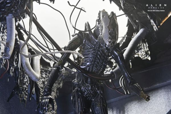 【史派克工廠】結單25年6月 NECA 7吋 異形 羅穆路斯 Xenomorph XX121 實驗室懸吊版 0509 NECA 7吋 異形 羅穆路斯 Xenomorph XX121 實驗室懸吊版