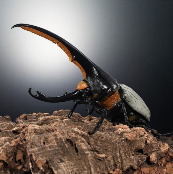 【史派克工廠】結單 預購24年7月 萬代 生物大圖鑑 premium 赫克力士長戟大兜蟲 19cm 0425 萬代 生物大圖鑑 premium 赫克力士長戟大兜蟲 19cm