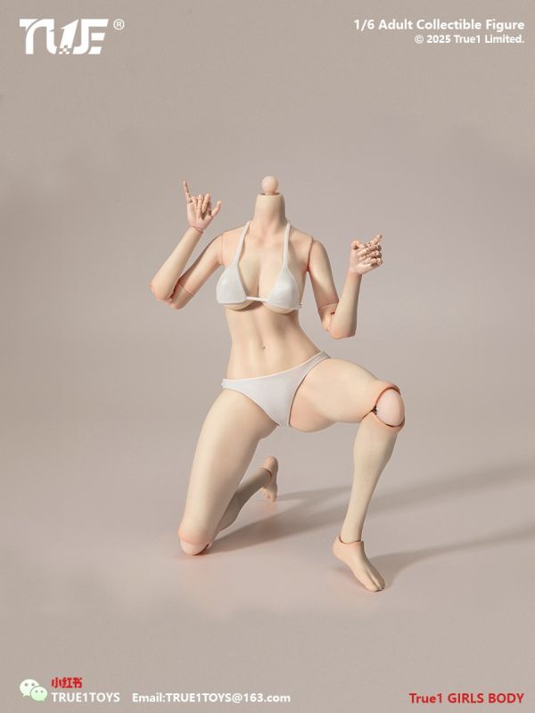 【史派克工廠】結單免運25年Q3 True1Toys 1/6 窄肩全可動手關節 女素體 中胸大胸 白肌色淺麥色 0507 True1Toys 1/6 窄肩全可動手關節 女素體 中胸大胸 白肌色淺麥色