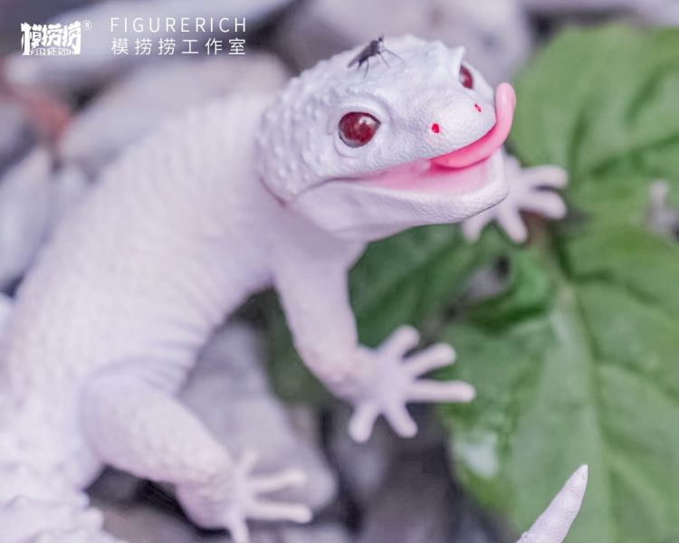 【史派克工廠】結單 預購Q3 FIGURERICH模撈撈1/1 守宮 白日夢 班納的飛行夢 FRDF001 兩色可選 0602 FIGURERICH模撈撈1/1 守宮 白日夢 班納的飛行夢 FRDF001 兩色可選