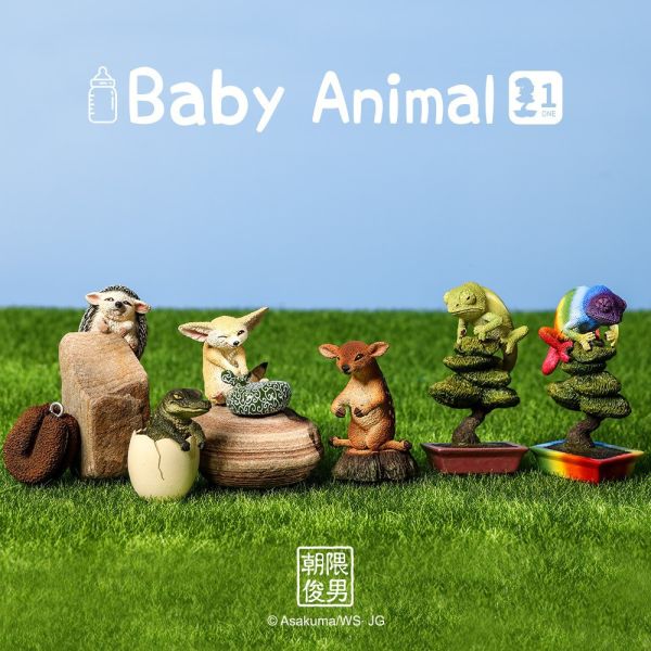 【史派克工廠】結單 預購24年5月 代理版 朝隈俊男 Baby Animal 6入一中盒 0419 代理版 朝隈俊男 Baby Animal 6入一中盒