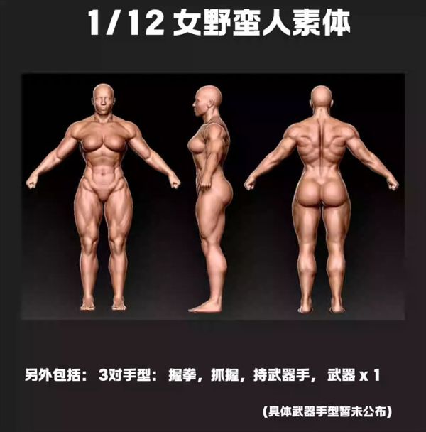 【史派克工廠】結單預購免運25年Q2 Brutal Realm 殘酷領域 6寸 亞洲白色 歐洲肉色 非洲黑色 女戰士素體 0919 Brutal Realm 殘酷領域 6寸 亞洲白色 歐洲肉色 非洲黑色 女戰士素體