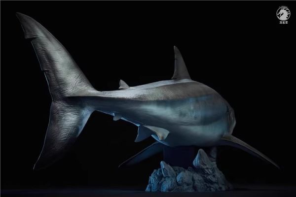 【史派克工廠】結單預購24年Q3 萬蘢堂 1/35 巨齒鯊 鬼顎 大白鯊 雕像模型 0801 萬蘢堂 1/35 巨齒鯊 鬼顎 大白鯊 雕像模型