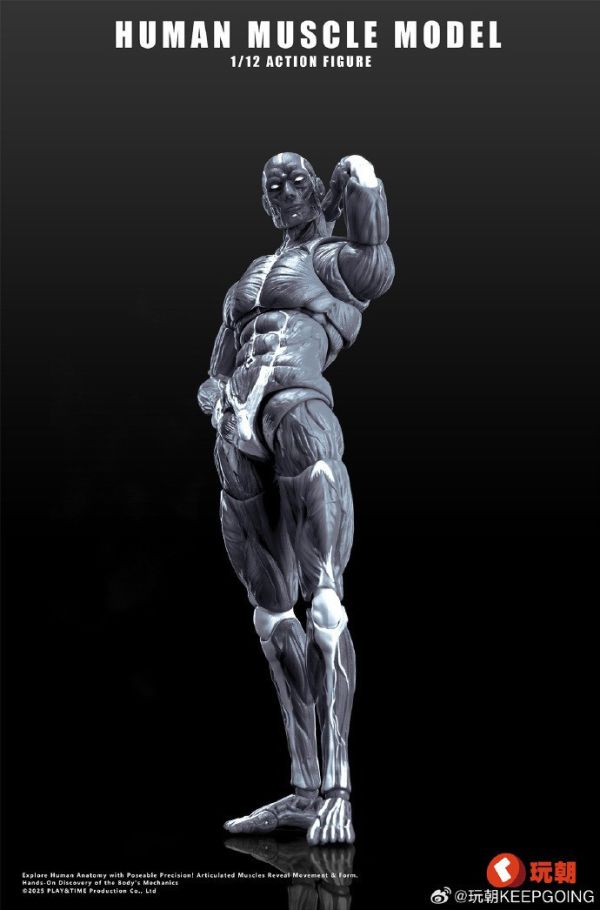 【史派克工廠】結單免運Q3 玩朝玩具 Human Muscle Model 1/12 肌肉素體 超可動人偶 0718 玩朝玩具 Human Muscle Model 1/12 肌肉素體 超可動人偶