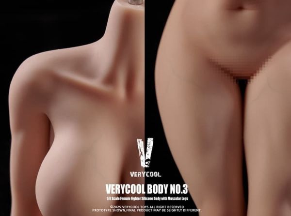 【史派克工廠】預購免運26年1月 VERYCOOL 粉紅白膚色 自然膚色 小麥膚色 1/6鉑金矽膠女素體 3款 1217 VERYCOOL 粉紅白膚色 自然膚色 小麥膚色 1/6鉑金矽膠女素體 3款