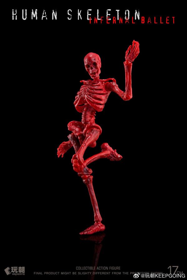 【史派克工廠】預購免運26年2月 玩朝 生物課堂 1/12 人體骨骼 骷髏素體 成品 關節可動模型 0128 玩朝 生物課堂 1/12 人體骨骼 骷髏素體 成品 關節可動模型