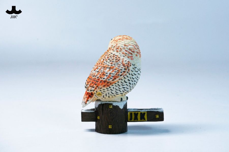 【史派克工廠】預購26年Q1 JXK 雪鴞 貓頭鷹 鴞 動物 模型 JXK323 0114 JXK 雪鴞 貓頭鷹 鴞 動物 模型 JXK323