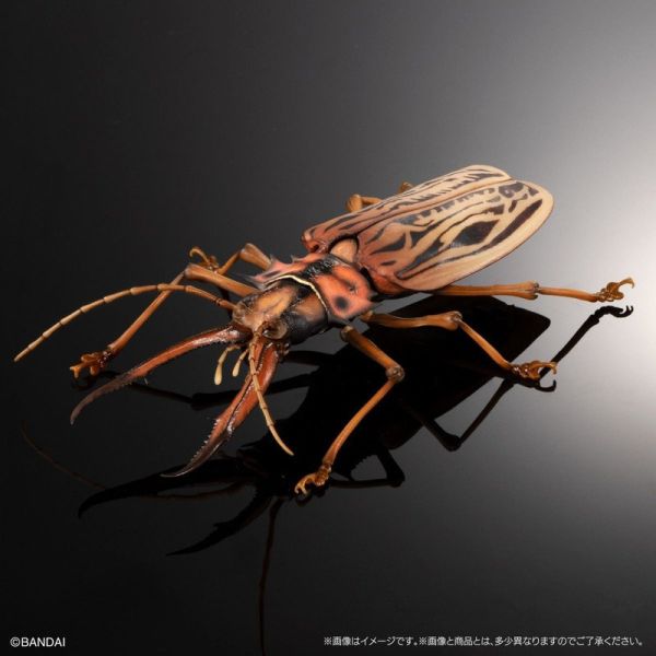 【史派克工廠】結單25年5月 代理版 扭蛋袋裝 生物大圖鑑 長牙大天牛 日本虎甲蟲 附支架 全4種 0312 代理版 扭蛋袋裝 生物大圖鑑 長牙大天牛 日本虎甲蟲 附支架 全4種