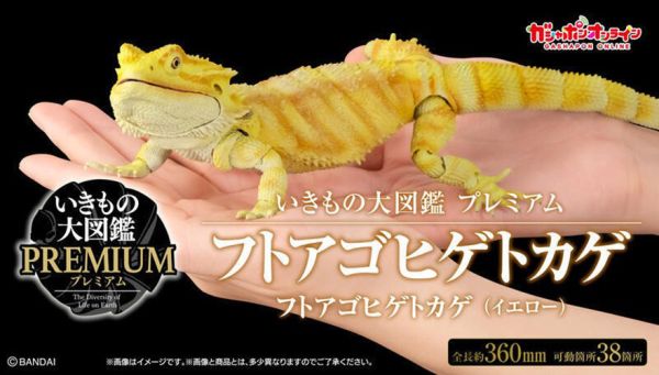 【史派克工廠】結單25年7月 BANDAI 扭蛋袋裝 生物大圖鑑 鬃獅蜥 (黃) 0421 BANDAI 扭蛋袋裝 生物大圖鑑 鬃獅蜥 (黃)