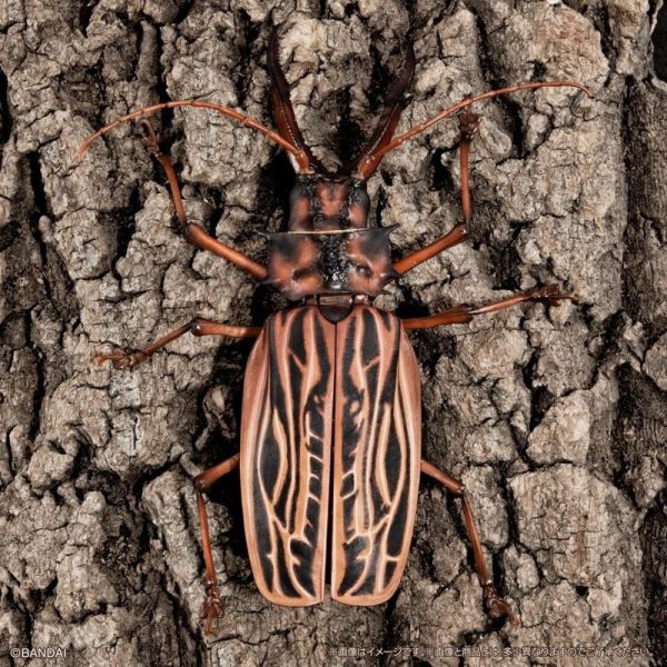 【史派克工廠】結單25年5月 代理版 扭蛋袋裝 生物大圖鑑 長牙大天牛 日本虎甲蟲 附支架 全4種 0312 代理版 扭蛋袋裝 生物大圖鑑 長牙大天牛 日本虎甲蟲 附支架 全4種