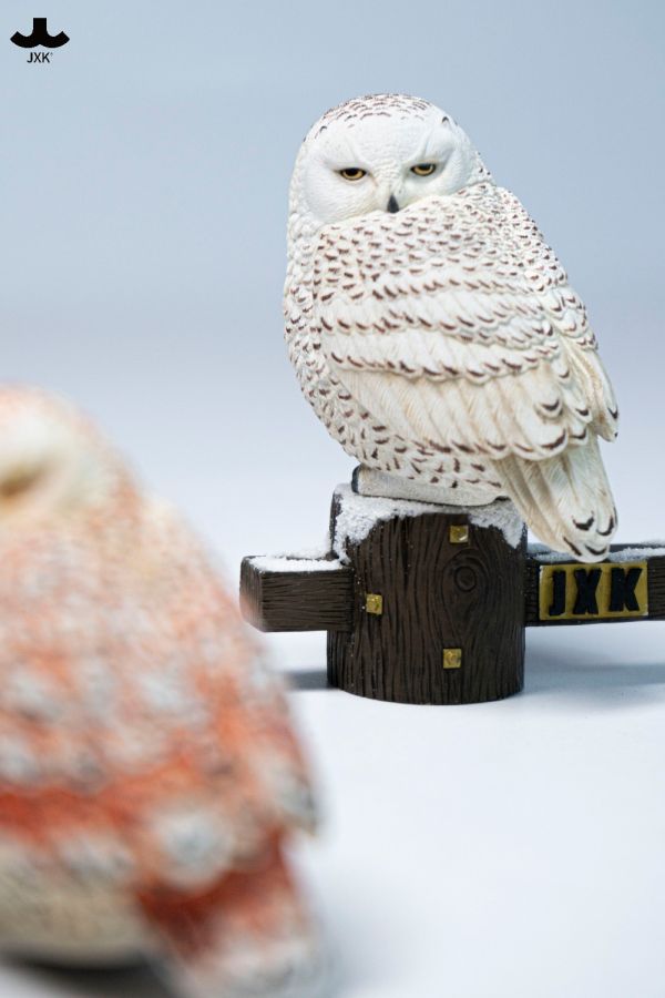 【史派克工廠】預購26年Q1 JXK 雪鴞 貓頭鷹 鴞 動物 模型 JXK323 0114 JXK 雪鴞 貓頭鷹 鴞 動物 模型 JXK323