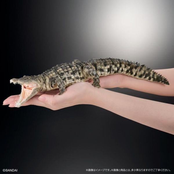 【史派克工廠】結單25年5月 萬代 BANDIA 生物大圖鑑 尼羅鱷 Light Color 轉蛋 扭蛋袋裝 0225 萬代 BANDIA 生物大圖鑑 尼羅鱷 Light Color 轉蛋 扭蛋袋裝