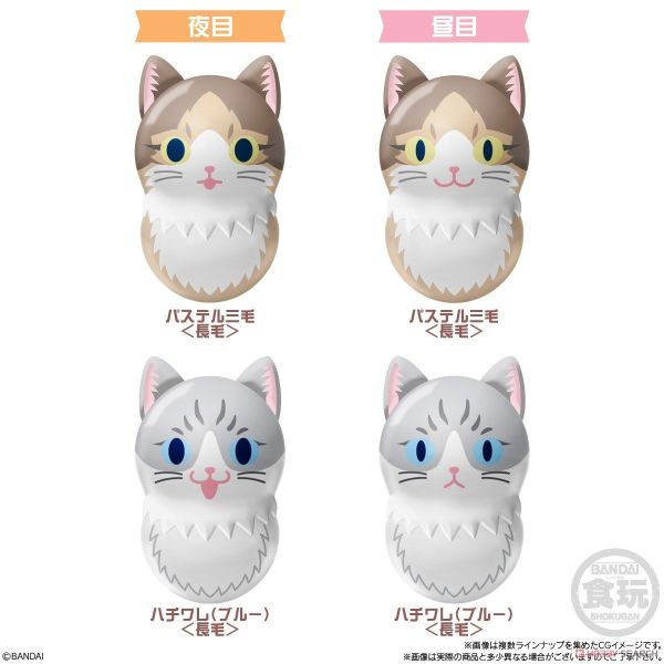 【史派克工廠】結單預購25年2月 萬代 BANDAI 食玩 COONYAT 貓咪 花生不倒翁2 中盒14入 1002 萬代 BANDAI 食玩 COONYAT 貓咪 花生不倒翁2 中盒14入