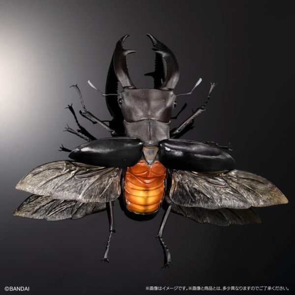 【史派克工廠】預購26年3月 代理版 萬代 限定 扭蛋袋裝 生物大圖鑑PREMIUM 巨顎叉角鍬形蟲 黑 0105 代理版 萬代 限定 扭蛋袋裝 生物大圖鑑PREMIUM 巨顎叉角鍬形蟲