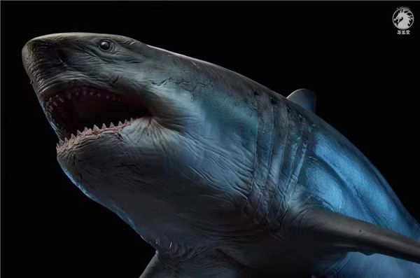 【史派克工廠】結單預購24年Q3 萬蘢堂 1/35 巨齒鯊 鬼顎 大白鯊 雕像模型 0801 萬蘢堂 1/35 巨齒鯊 鬼顎 大白鯊 雕像模型