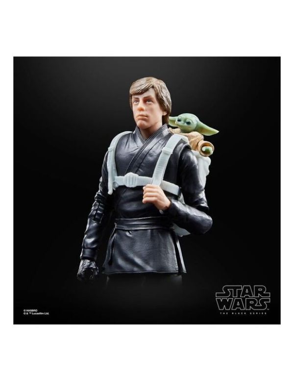 【史派克工廠】結單 預購23年6月 孩之寶 星際大戰 黑標 6吋 路克 & Grogu 尤達寶寶 0609 孩之寶 星際大戰 黑標 6吋 路克 & Grogu 尤達寶寶