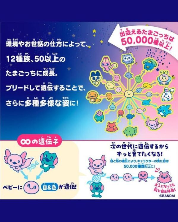 【史派克工廠】結單26年1月 萬代 彩色塔麻可吉 樂園塔麻歌子 粉紅之地 藍色水域 紫色天空 0721 萬代 彩色塔麻可吉 樂園塔麻歌子 粉紅之地 藍色水域 紫色天空