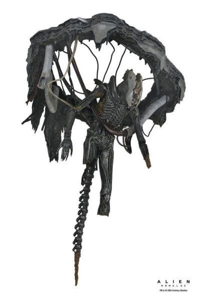 【史派克工廠】結單25年6月 NECA 7吋 異形 羅穆路斯 Xenomorph XX121 實驗室懸吊版 0509 NECA 7吋 異形 羅穆路斯 Xenomorph XX121 實驗室懸吊版