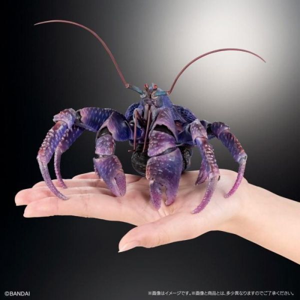 【史派克工廠】預購26年8月 萬代 扭蛋袋裝 生物大圖鑑PREMIUM 椰子蟹 紫色 0612 萬代 扭蛋袋裝 生物大圖鑑PREMIUM 椰子蟹 紫色