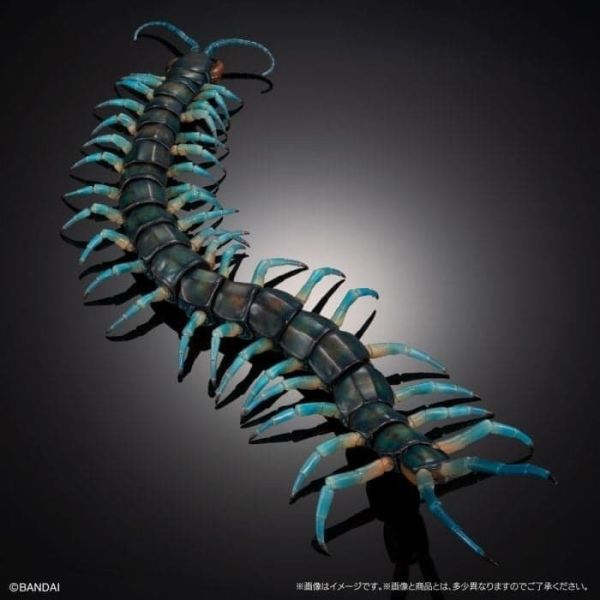 【史派克工廠】預購免運26年2月 萬代 GASHAPON 扭蛋 生物大圖鑑 Ultimate 琉神蜈蚣 青龍 1202 萬代 GASHAPON 扭蛋 生物大圖鑑 Ultimate 琉神蜈蚣 青龍