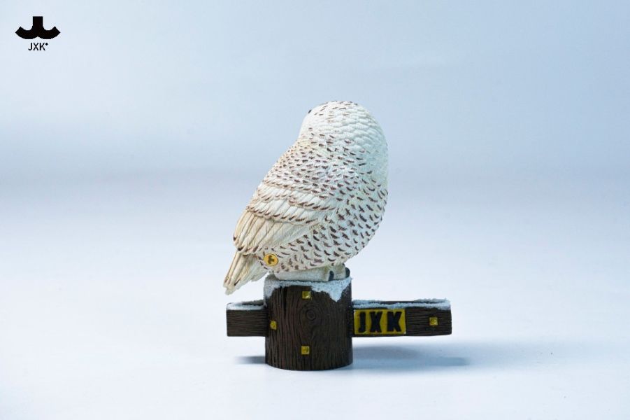 【史派克工廠】預購26年Q1 JXK 雪鴞 貓頭鷹 鴞 動物 模型 JXK323 0114 JXK 雪鴞 貓頭鷹 鴞 動物 模型 JXK323