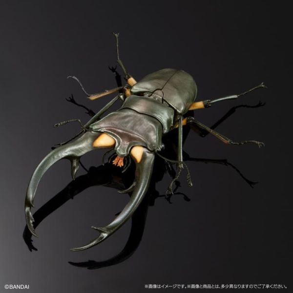 【史派克工廠】結單25年10月 萬代 扭蛋 生物大圖鑑 鍬形蟲02 一套4款 附樹皮底座(中) 0811 萬代 扭蛋 生物大圖鑑 鍬形蟲02 一套4款 附樹皮底座(中)